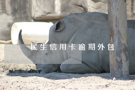 民生信用卡逾期外包 民生信用卡逾期外包
