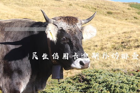 民生信用卡逾期外访排查 民生信用卡逾期外访排查