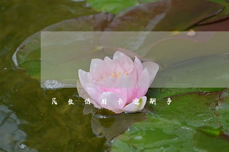 民生信用卡逾期多 民生信用卡逾期多