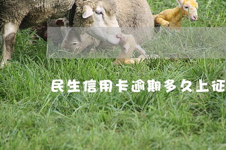民生信用卡逾期多久上征信 民生信用卡逾期多久上征信