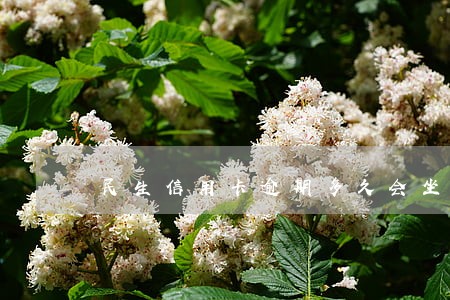 民生信用卡逾期多久会坐牢吗 民生信用卡逾期多久会坐牢吗