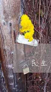 民生信用卡逾期多久会拨打电话