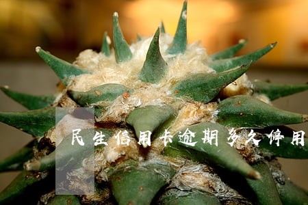 民生信用卡逾期多久停用 民生信用卡逾期多久停用