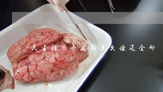 民生信用卡逾期多久偿还全部 民生信用卡逾期多久偿还全部