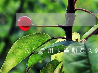 民生信用卡逾期多久就外访光大 民生信用卡逾期多久就外访光大