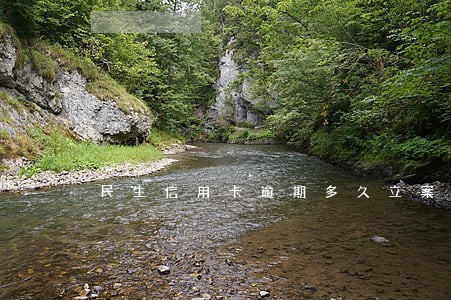 民生信用卡逾期多久立案 民生信用卡逾期多久立案