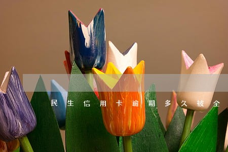 民生信用卡逾期多久被全额还款 民生信用卡逾期多久被全额还款