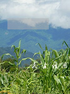 民生信用卡逾期多久还可以用 民生信用卡逾期多久还可以用
