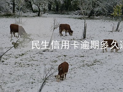 民生信用卡逾期多久通知