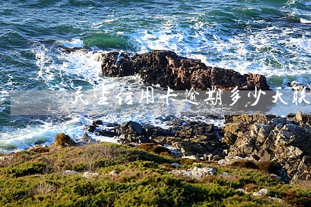 民生信用卡逾期多少天联系