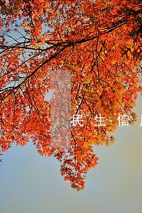 民生信用卡逾期多年近期才还清 民生信用卡逾期多年近期才还清