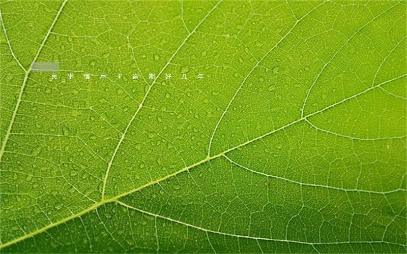 民生信用卡逾期好几年 民生信用卡逾期好几年