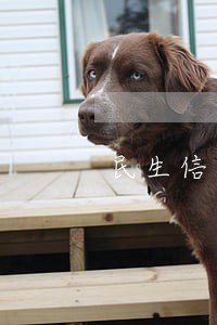 民生信用卡逾期委托众势信用