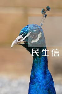 民生信用卡逾期征信谈判 民生信用卡逾期征信谈判