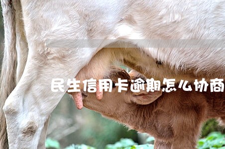 民生信用卡逾期怎么协商停息挂账 民生信用卡逾期怎么协商停息挂账