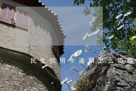 民生信用卡逾期怎么协商减免