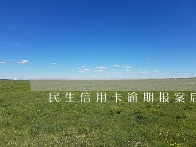 民生信用卡逾期报案后果 民生信用卡逾期报案后果