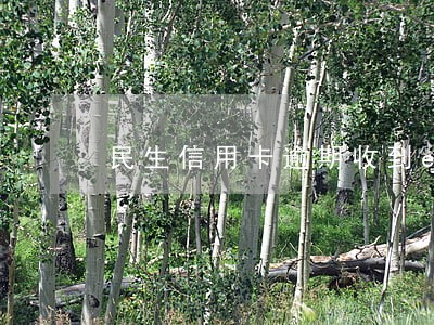 民生信用卡逾期收到ems邮件 民生信用卡逾期收到ems邮件