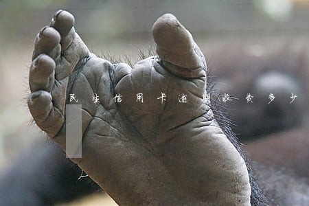 民生信用卡逾期收费多少 民生信用卡逾期收费多少