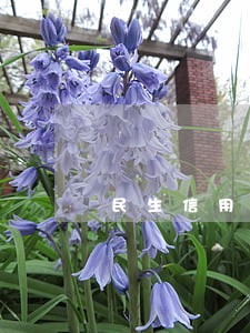 民生信用卡逾期无力还款