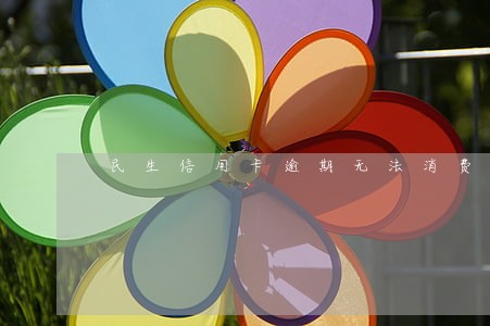 民生信用卡逾期无法消费 民生信用卡逾期无法消费