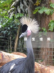 民生信用卡逾期更正 民生信用卡逾期更正