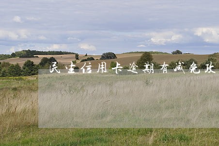 民生信用卡逾期有减免政策吗