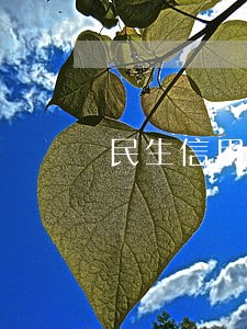 民生信用卡逾期有外访人员来家 民生信用卡逾期有外访人员来家