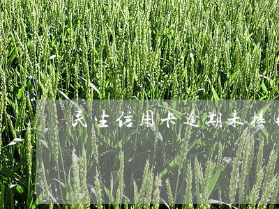 民生信用卡逾期未接电话 民生信用卡逾期未接电话