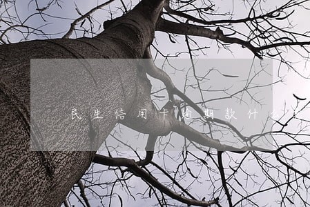 民生信用卡逾期款什么意思 民生信用卡逾期款什么意思