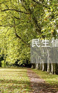 民生信用卡逾期没还 民生信用卡逾期没还