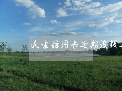 民生信用卡逾期没钱还如何应付