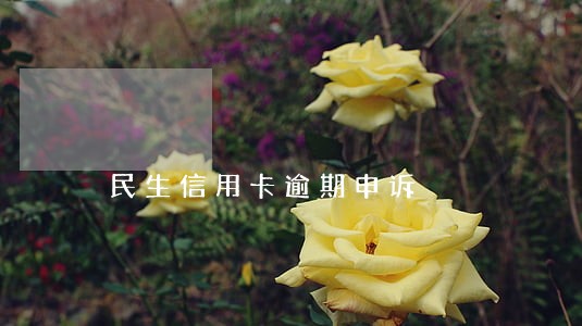 民生信用卡逾期申诉 民生信用卡逾期申诉