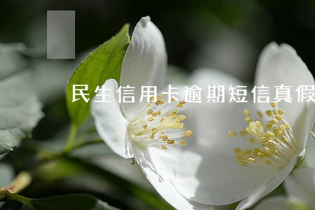 民生信用卡逾期短信真假 民生信用卡逾期短信真假