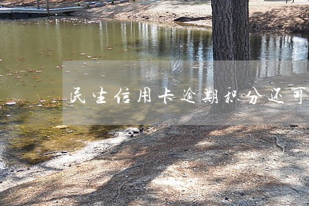 民生信用卡逾期积分还可以用吗 民生信用卡逾期积分还可以用吗