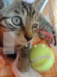 民生信用卡逾期结果会怎么样 民生信用卡逾期结果会怎么样