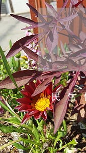 民生信用卡逾期联系第三方 民生信用卡逾期联系第三方