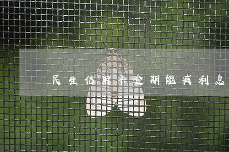 民生信用卡逾期能减利息吗