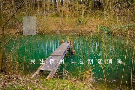 民生信用卡逾期能消吗