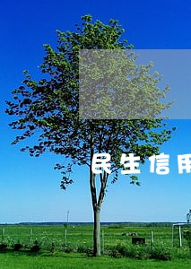 民生信用卡逾期自动分期还款 民生信用卡逾期自动分期还款