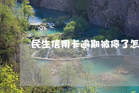 民生信用卡逾期被停了怎么办 民生信用卡逾期被停了怎么办