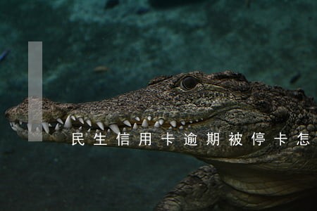 民生信用卡逾期被停卡怎么办