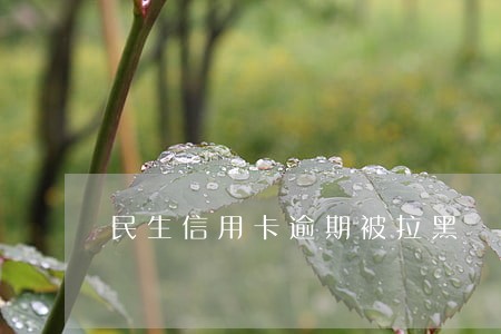 民生信用卡逾期被拉黑 民生信用卡逾期被拉黑