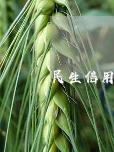 民生信用卡逾期被起诉会是啥样 民生信用卡逾期被起诉会是啥样