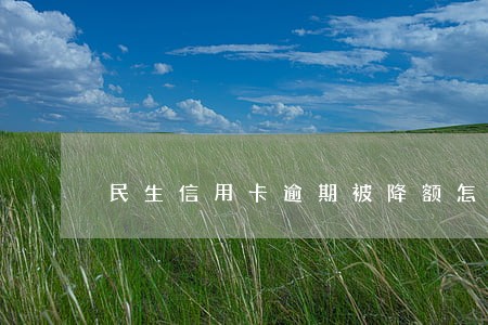民生信用卡逾期被降额怎么办 民生信用卡逾期被降额怎么办