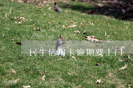 民生信用卡逾期要上门 民生信用卡逾期要上门