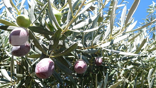 民生信用卡逾期要外访排查 民生信用卡逾期要外访排查