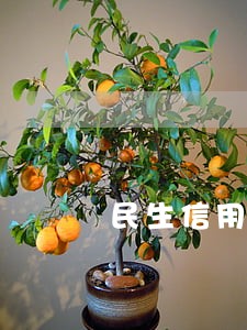 民生信用卡逾期要被起诉 民生信用卡逾期要被起诉