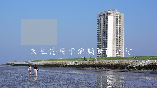民生信用卡逾期解除止付 民生信用卡逾期解除止付