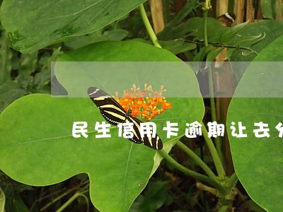 民生信用卡逾期让去分行